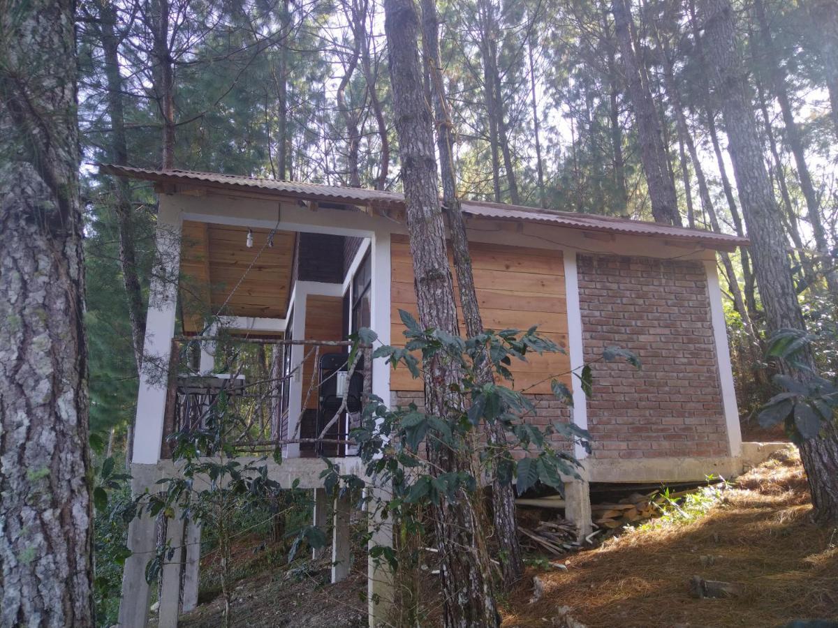 Cabanas Junkolal Tziscao Santiago  Zimmer foto